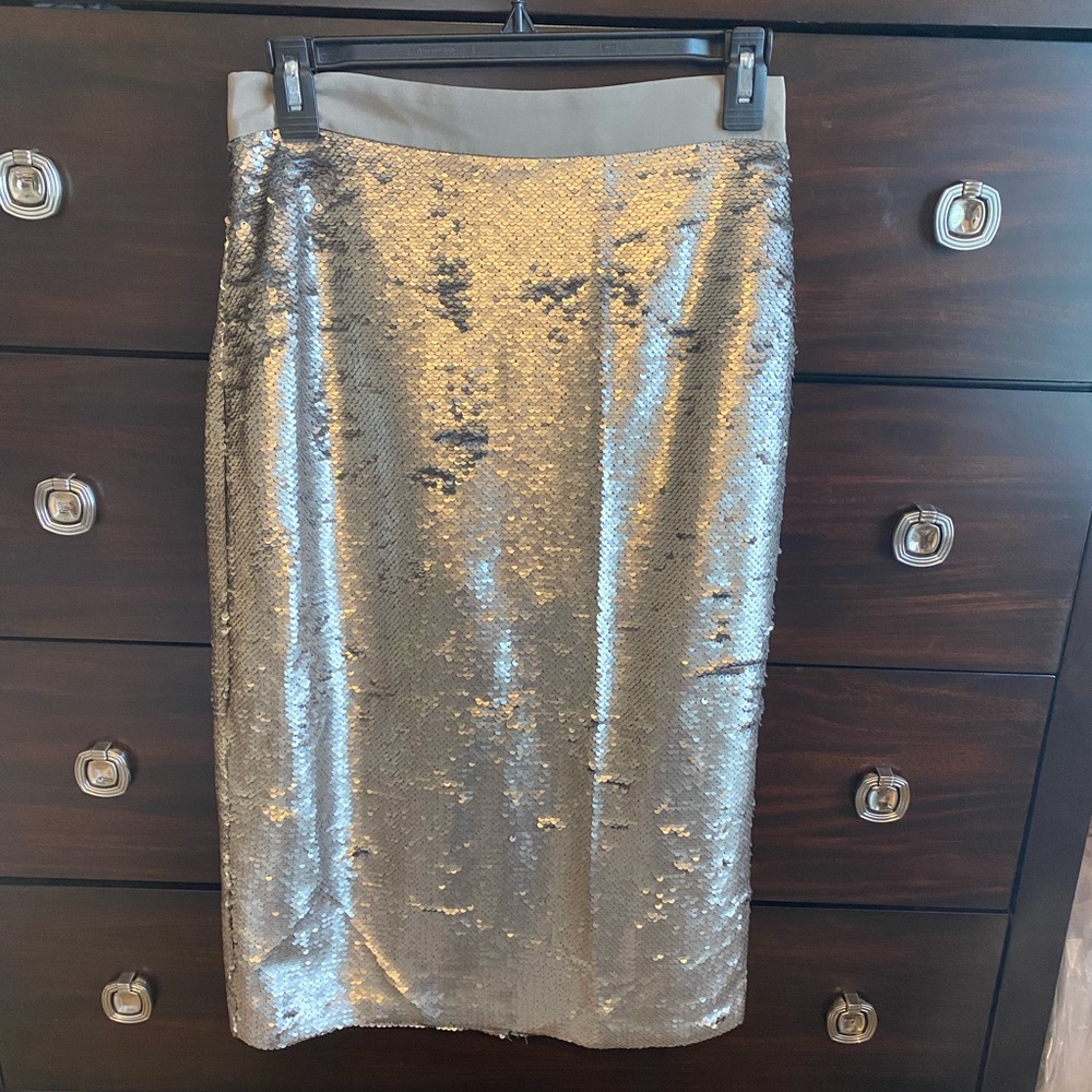 Banana Republic Size 2 Champagne Sequins Skirt